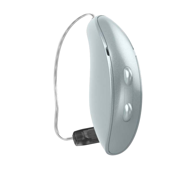 Omega AI RIC 312